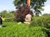 Bild050