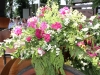 Bild059